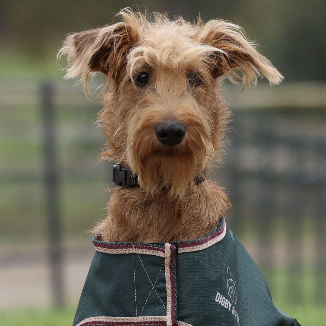 Digby & Fox Lite Waterproof Dog Coat
