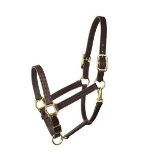 Perris Leather 1" Turnout Halter