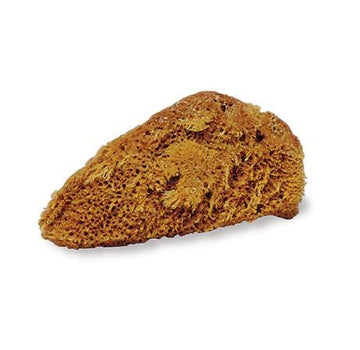 Natural Tack Sponge - Small