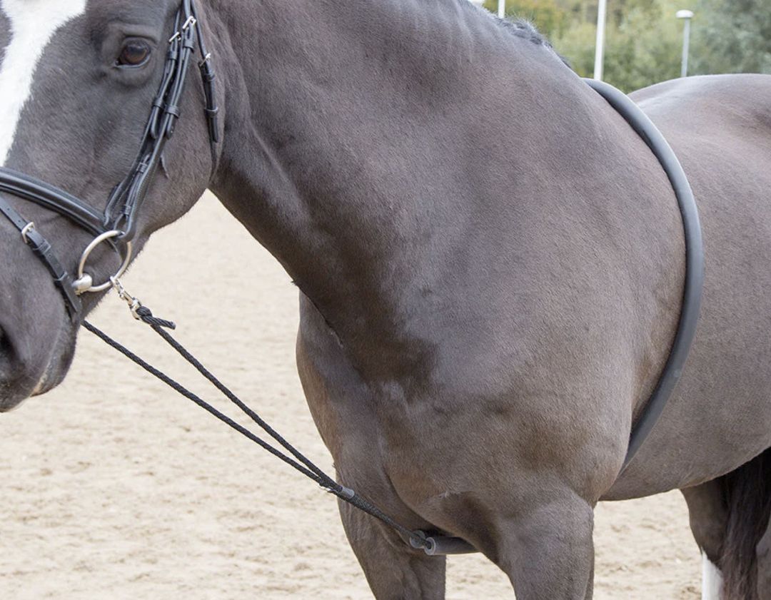 Shires Soft Lunging Aid