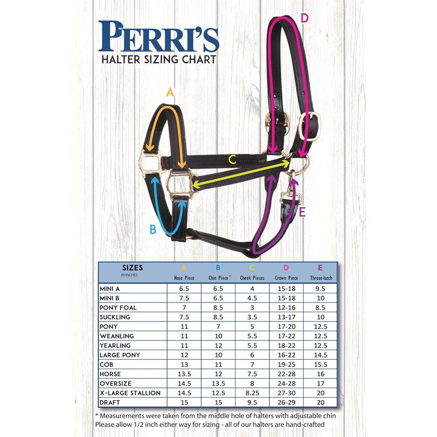 Perri's 3/4" Pony Turnout Halter