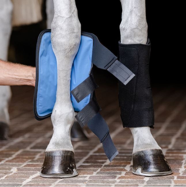 EquiFit Essential® Cold Therapy Tendon Boot