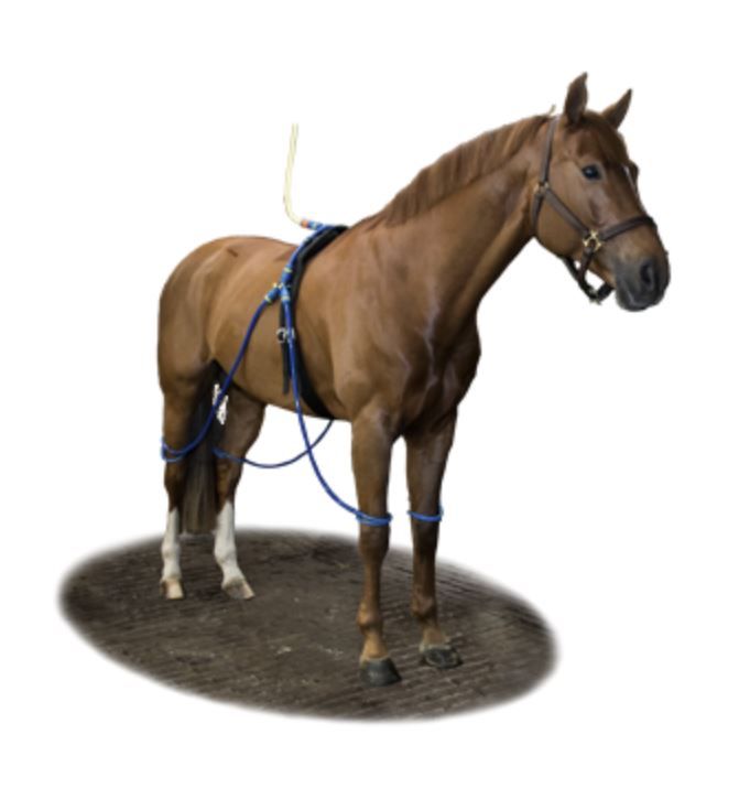 Equine Leg Cooler - Complete