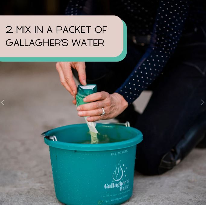Gallagher's Water - Individual Serving Packet