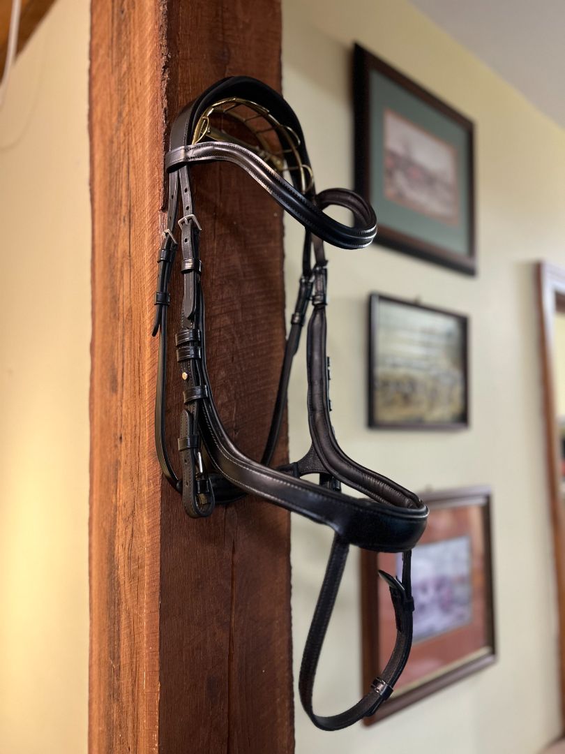 Schockemohle Equitus Alpha Bridle - Cob